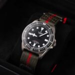 Tudor Pelagos 25717N 2025