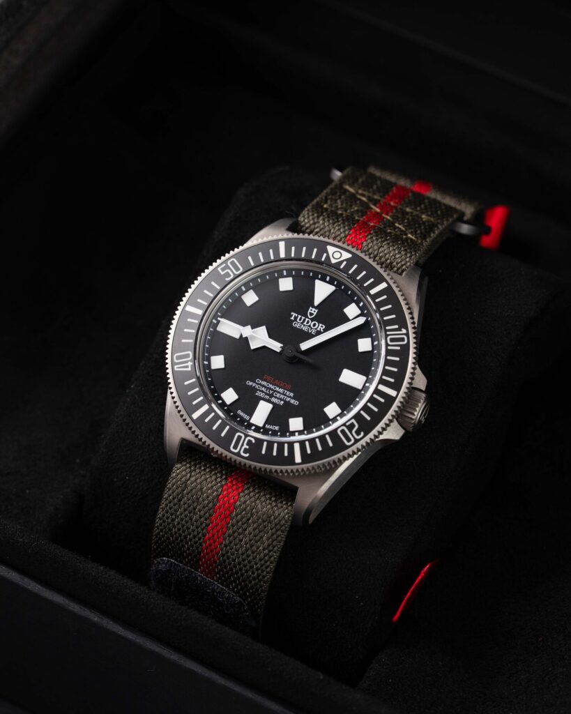 Tudor Pelagos 25717N 2025
