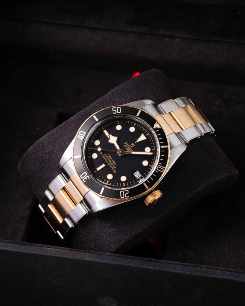 Tudor Black Bay S&g 79733N 2023