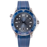 Omega Seamaster Diver 300 210.32.42.20.06.001 2026