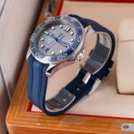 Omega Seamaster Diver 300 210.32.42.20.06.001 2026
