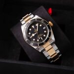Tudor Black Bay S&g 79733N 2023