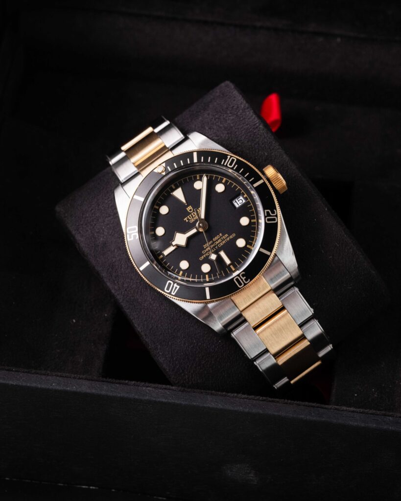 Tudor Black Bay S&g 79733N 2023