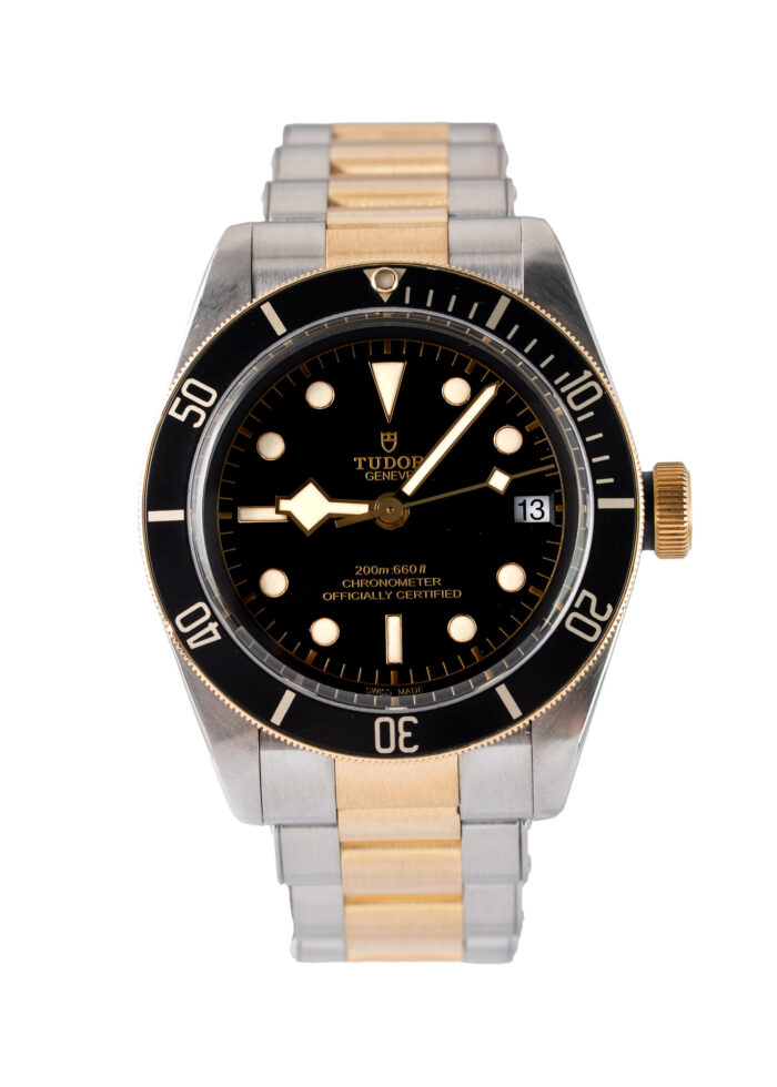 Tudor Black Bay S&g 79733N 2018