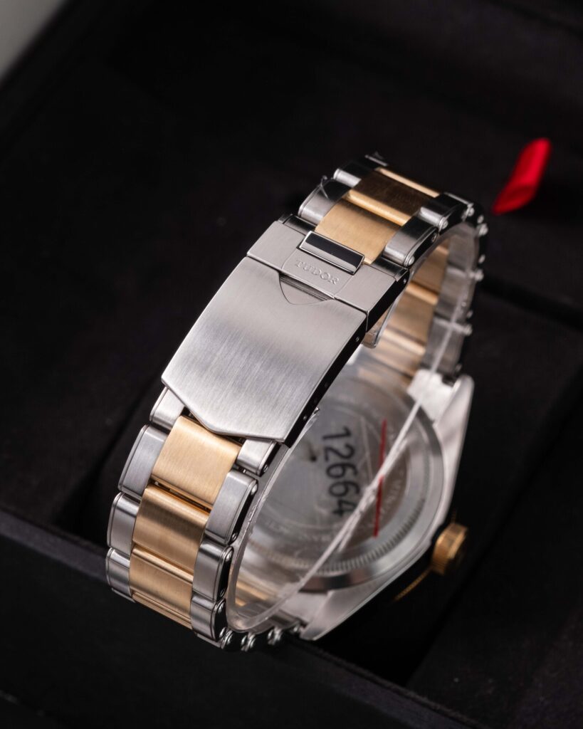 Tudor Black Bay S&g 79733N 2023