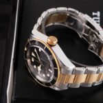 Tudor Black Bay S&g 79733N 2023