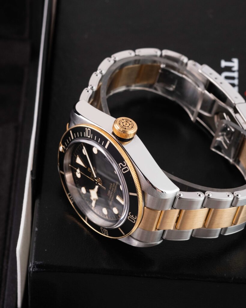 Tudor Black Bay S&g 79733N 2023