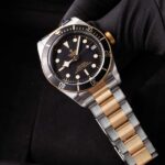 Tudor Black Bay S&g 79733N 2023