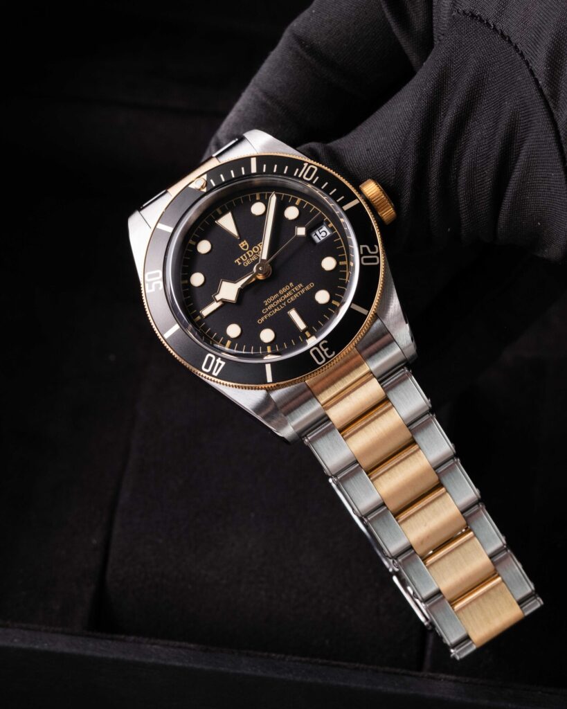 Tudor Black Bay S&g 79733N 2023