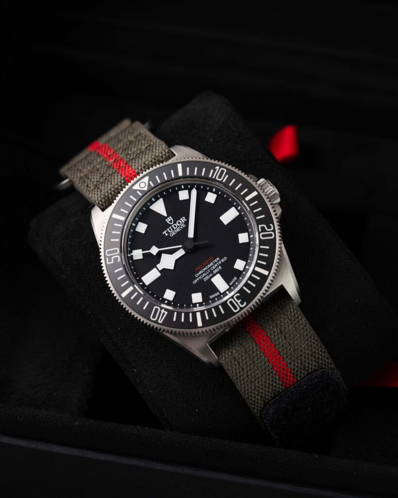 Tudor Pelagos 25717N 2025