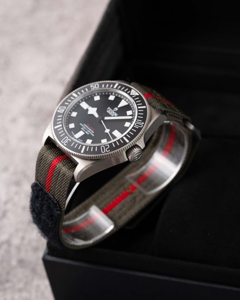 Tudor Pelagos 25717N 2025
