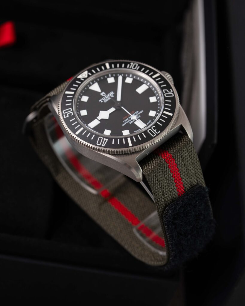 Tudor Pelagos 25717N 2025