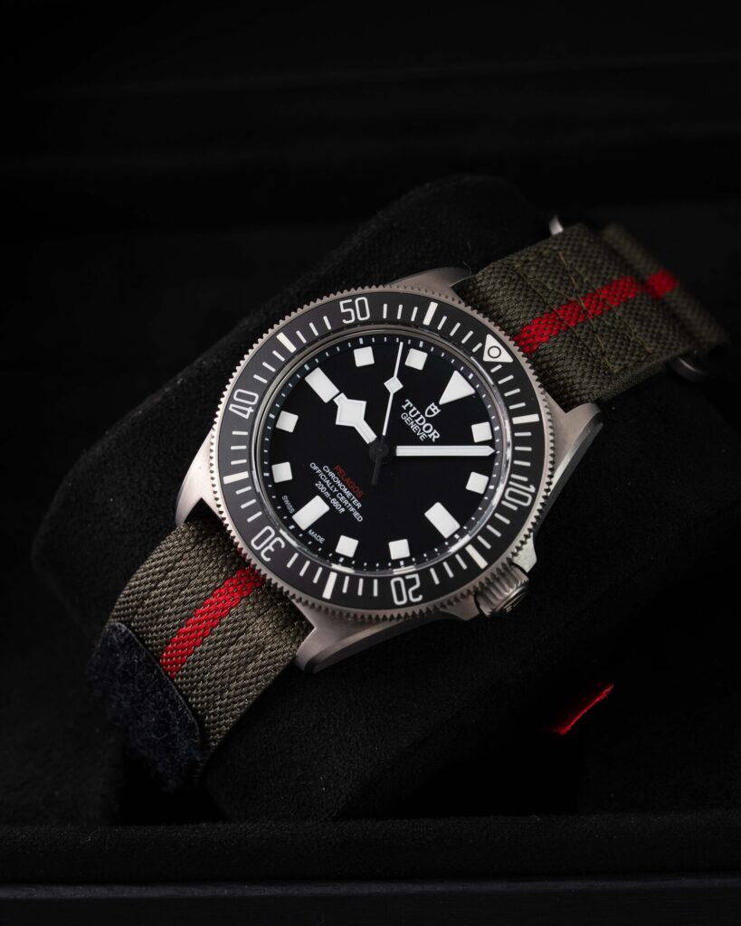 Tudor Pelagos 25717N 2025