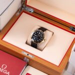 Omega Seamaster 210.22.42.20.01.001 2022