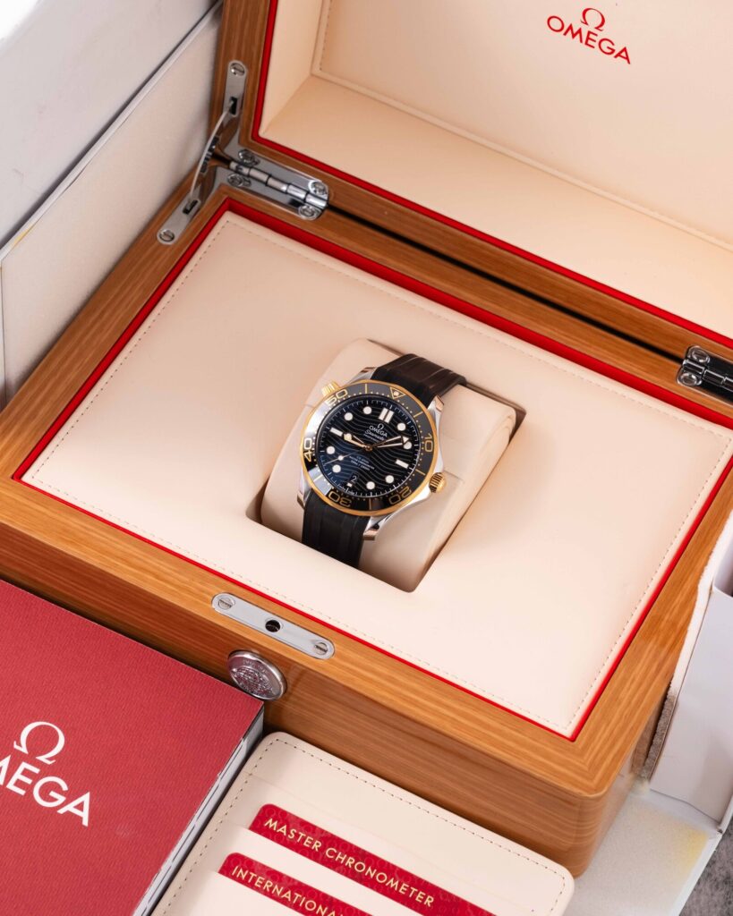 Omega Seamaster 210.22.42.20.01.001 2022