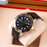 Omega Seamaster 210.22.42.20.01.001 2022