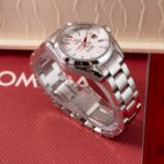 Omega Aqua Terra Quartz  231.10.30.61.02.001 2010