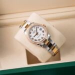 Rolex Datejust 278383RBR 2026