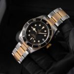 Tudor Black Bay S&g 79733N 2018
