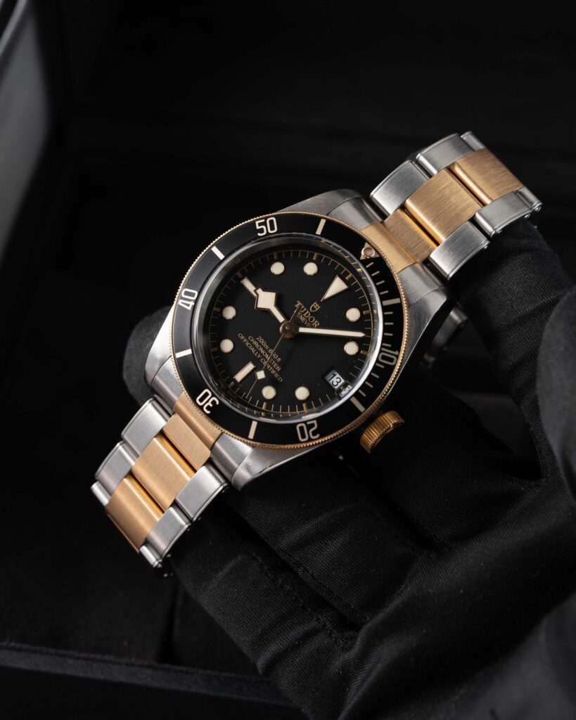 Tudor Black Bay S&g 79733N 2018