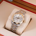 Omega Seamaster Aqua Terra 2318.30 2009