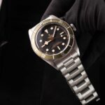 Tudor Black Bay 79230G 2021