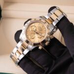 Rolex Daytona 116503 2022