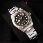 Tudor Black Bay 79230G 2024