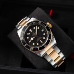 Tudor Black Bay S&g 79733N 2018