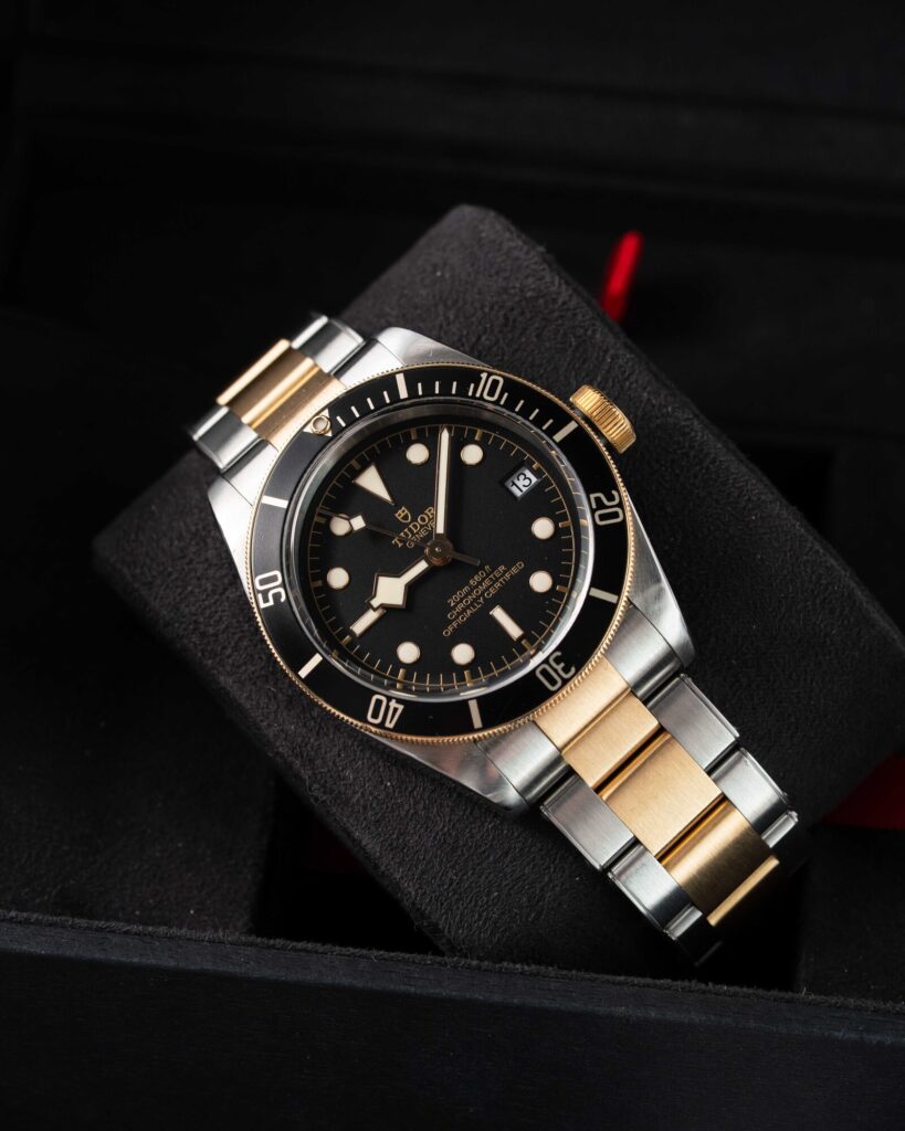 Tudor Black Bay S&g 79733N 2018