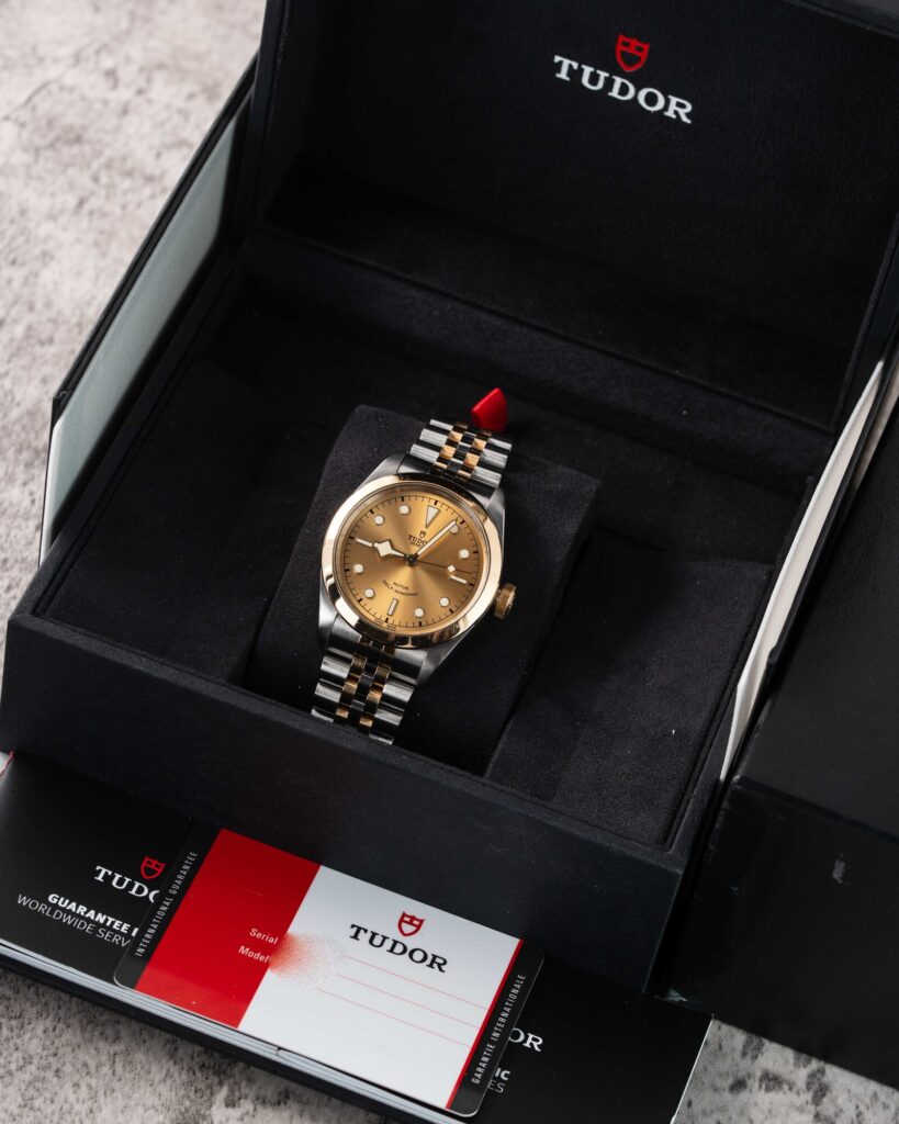Tudor Black Bay 41 79543 2019