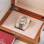 Omega Seamaster Aqua Terra 2318.30 2009