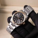 Rolex Oyster Perpetual 126003 2026
