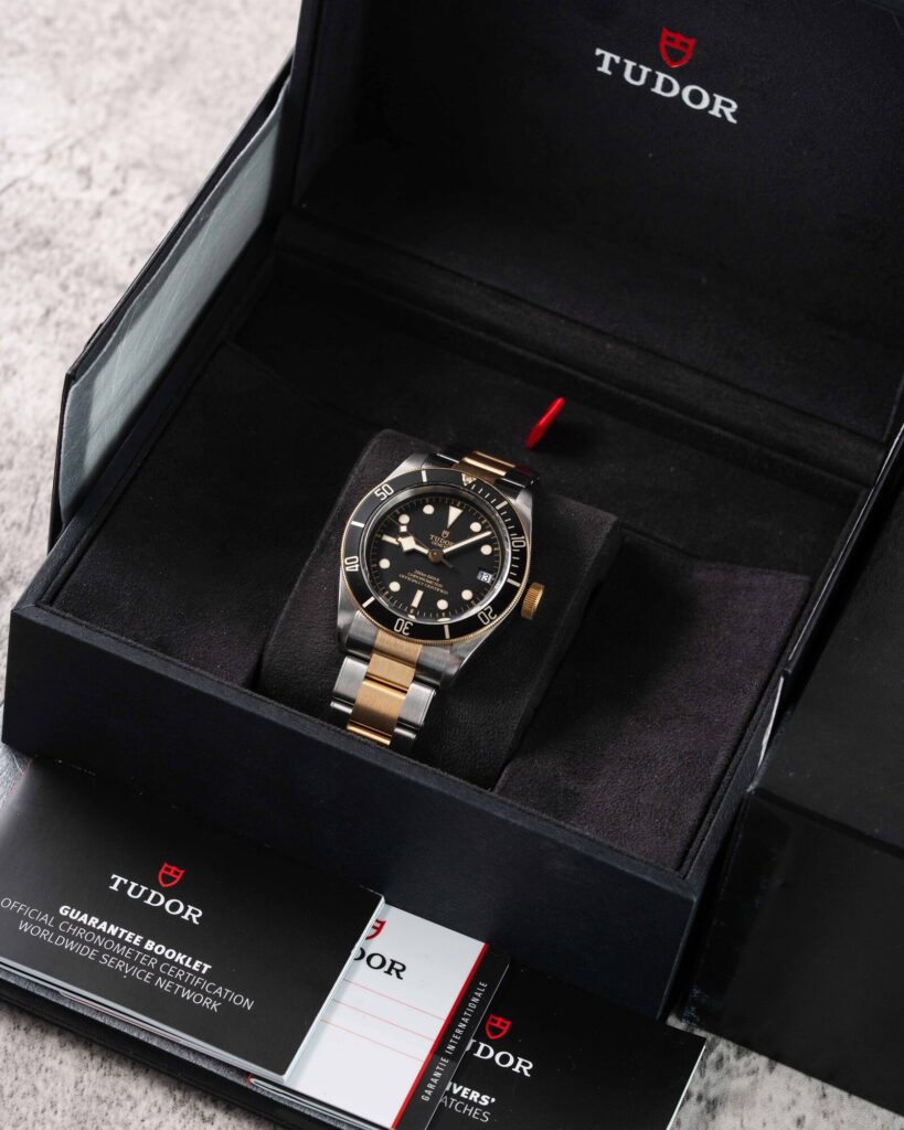 Tudor Black Bay S&g 79733N 2018