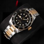Tudor Black Bay S&g 79733N 2018