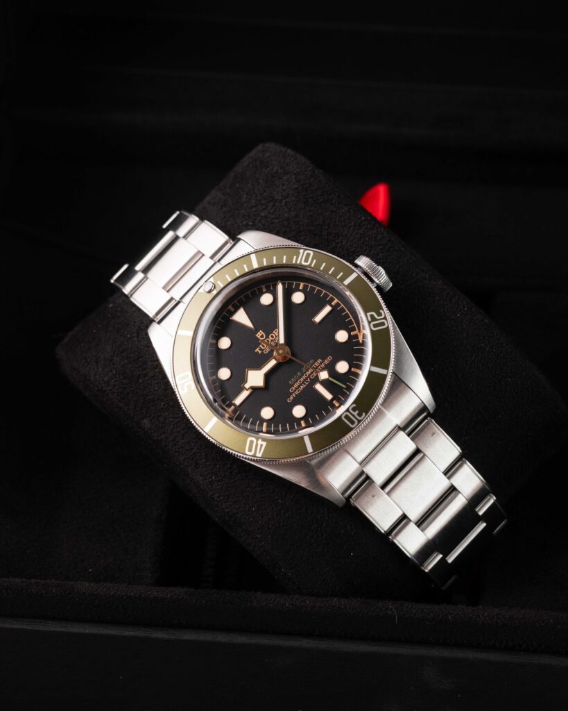 Tudor Black Bay 79230G 2021