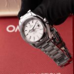 Omega Aqua Terra Quartz  231.10.30.61.02.001 2010