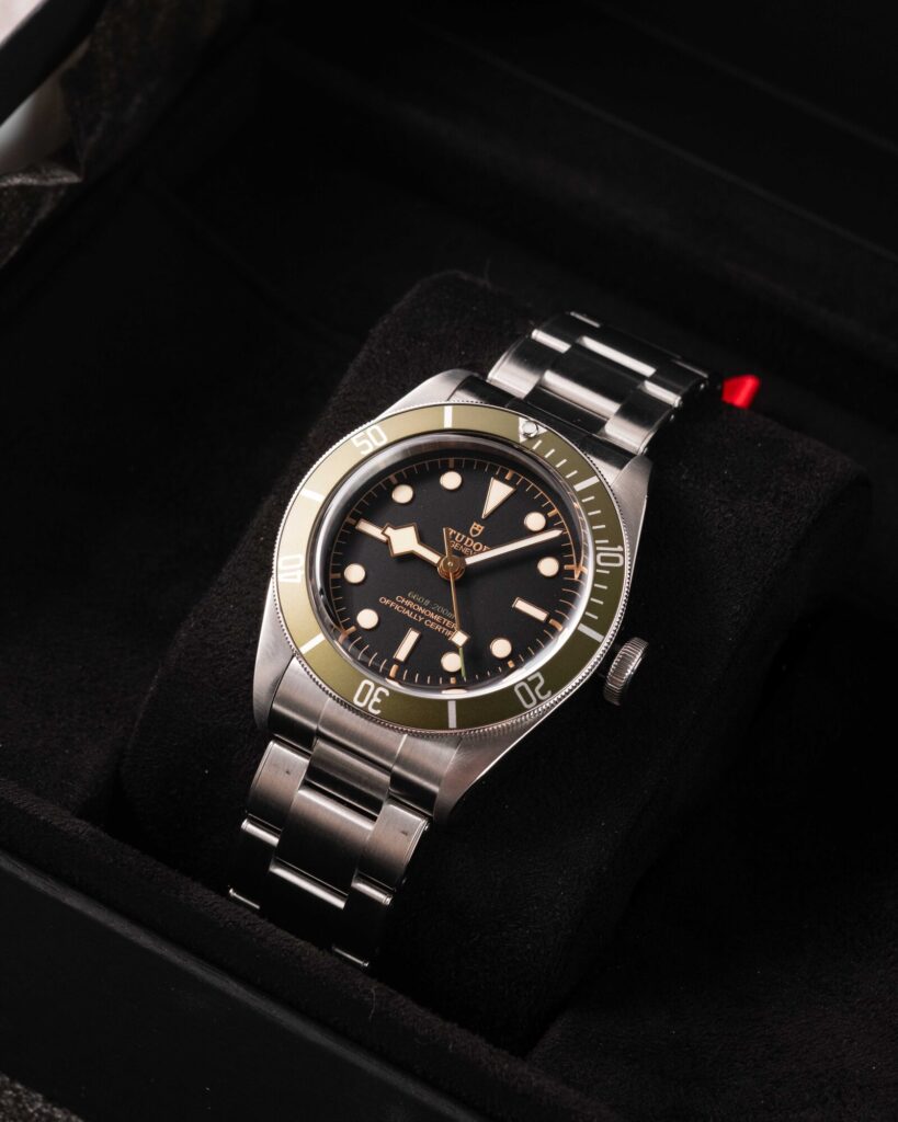 Tudor Black Bay 79230G 2021