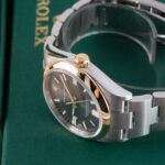 Rolex Oyster Perpetual 126003 2026