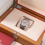 Omega Seamaster Railmaster 220.10.40.20.06.001 2025