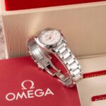 Omega Seamaster 220.10.28.60.54.001 2022