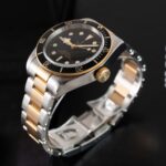 Tudor Black Bay S&g 79733N 2018