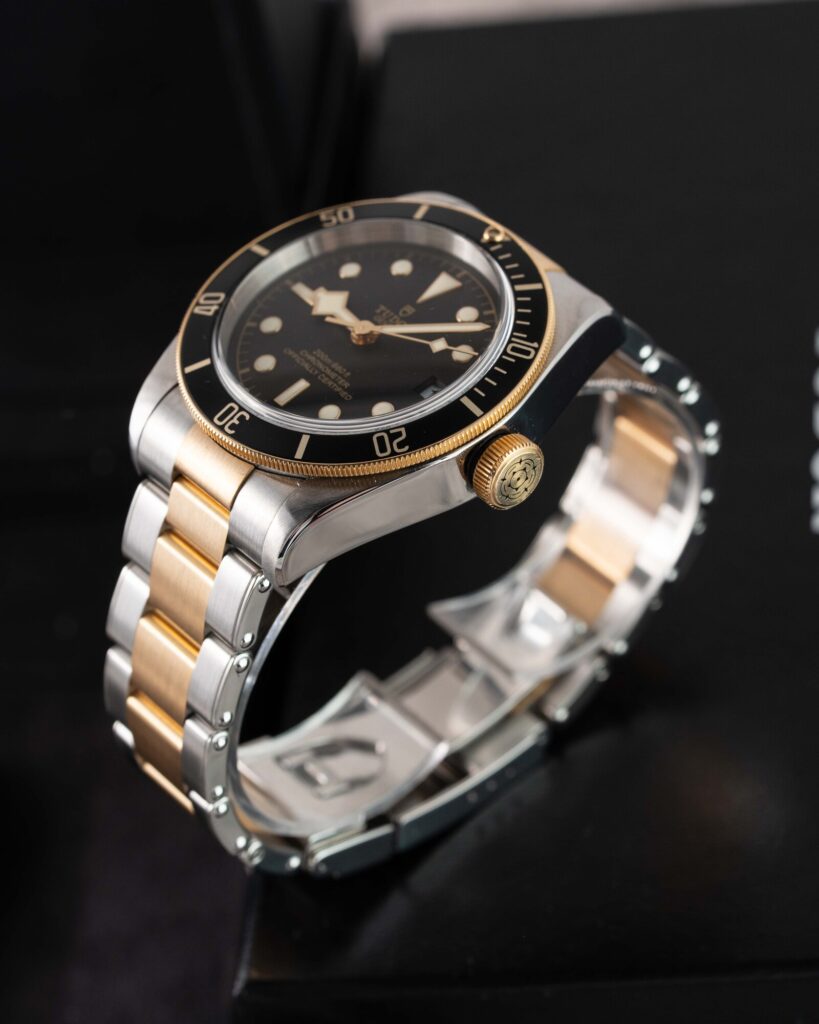 Tudor Black Bay S&g 79733N 2018