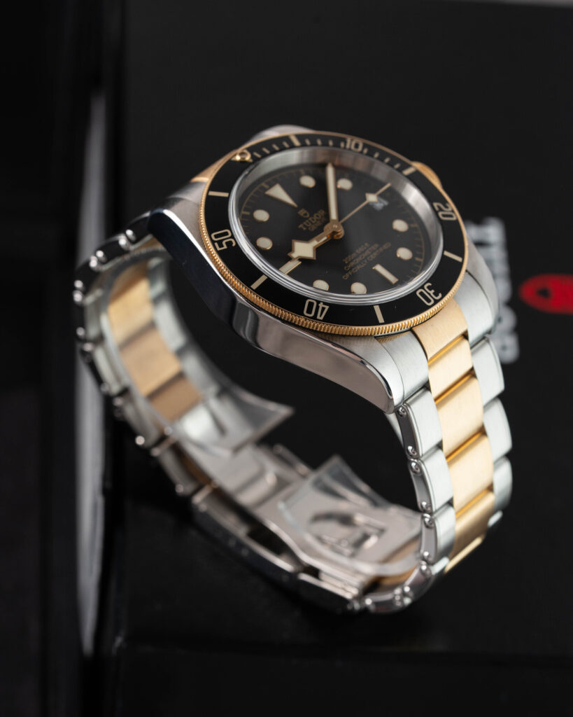 Tudor Black Bay S&g 79733N 2018