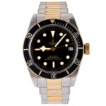 Tudor Black Bay S&g 79733N 2018
