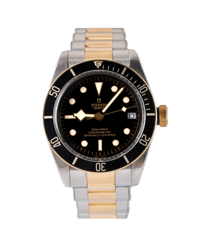Tudor Black Bay S&g 79733N 2018