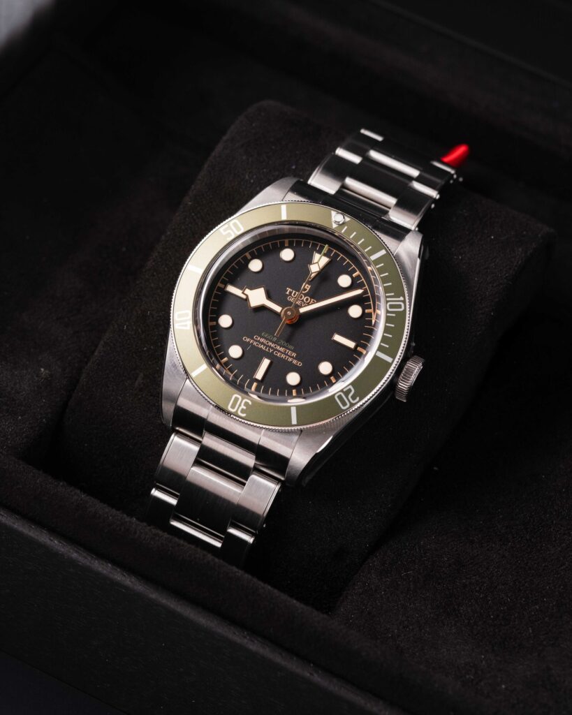 Tudor Black Bay 79230G 2024