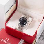 Omega Seamaster Diver 300 M 213.30.42.40.01.001 2009