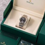 Rolex Oyster Perpetual 126003 2026
