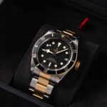 Tudor Black Bay S&g 79733N 2018